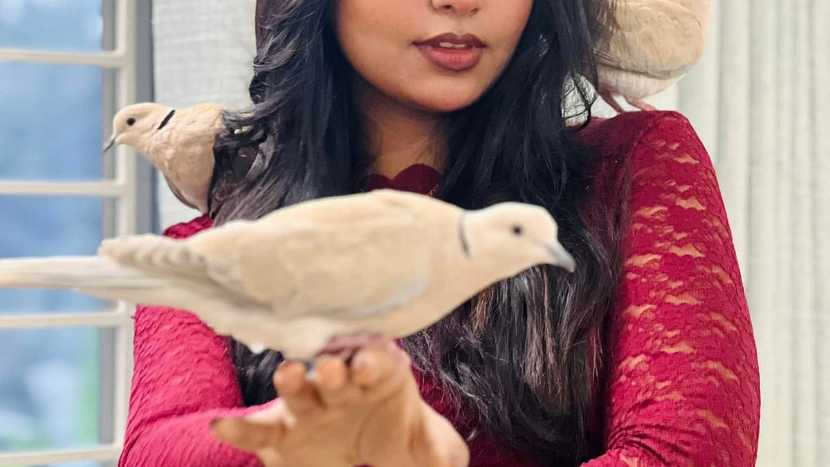 জান্নাতুল সুমাইয়া হিমি। ছবি: ফেসবুক