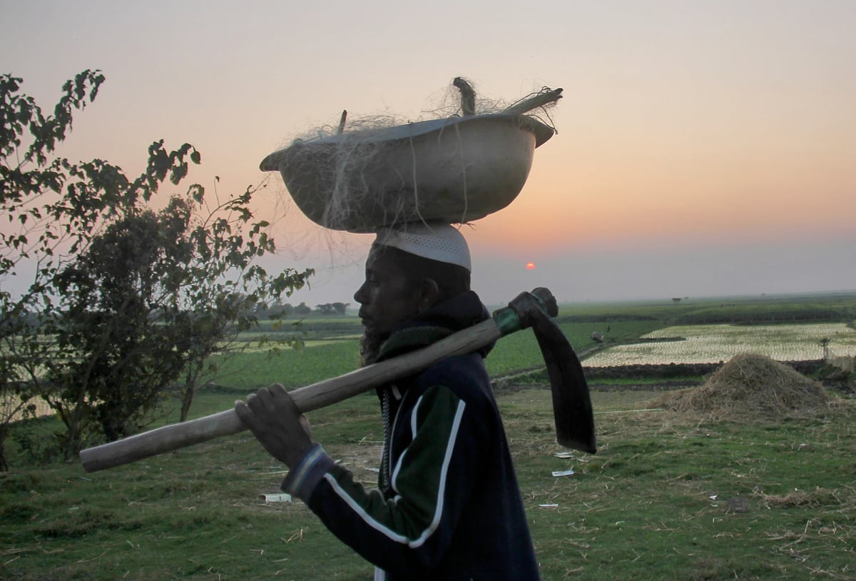ছবি: তাফসিলুল আজিজ  