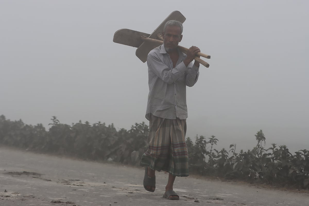 ঘন কুয়াশায় বোরো ধানের জমিতে কাজ করতে যাচ্ছেন এক চাষি 
