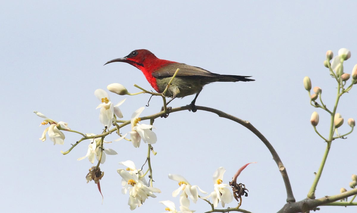 ছবি: সুপ্রিয় চাকমা 