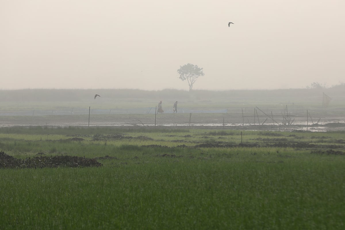 শীতের সকালে লুলার বিলের চিত্র।