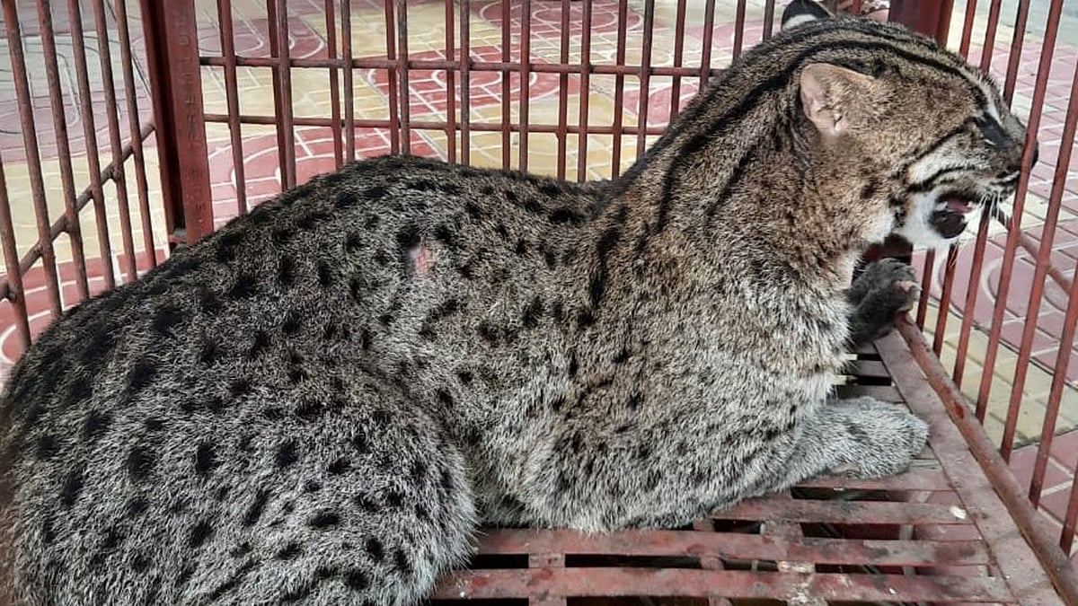 ছবি: প্রথম আলো