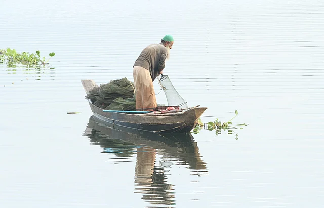 ছোট মাছ ধরা হচ্ছে। রাবার বাগান এলাকা 