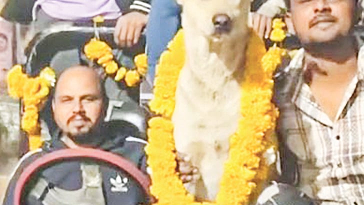 ইনস্টাগ্রামে দেওয়া ভিডিও থেকে