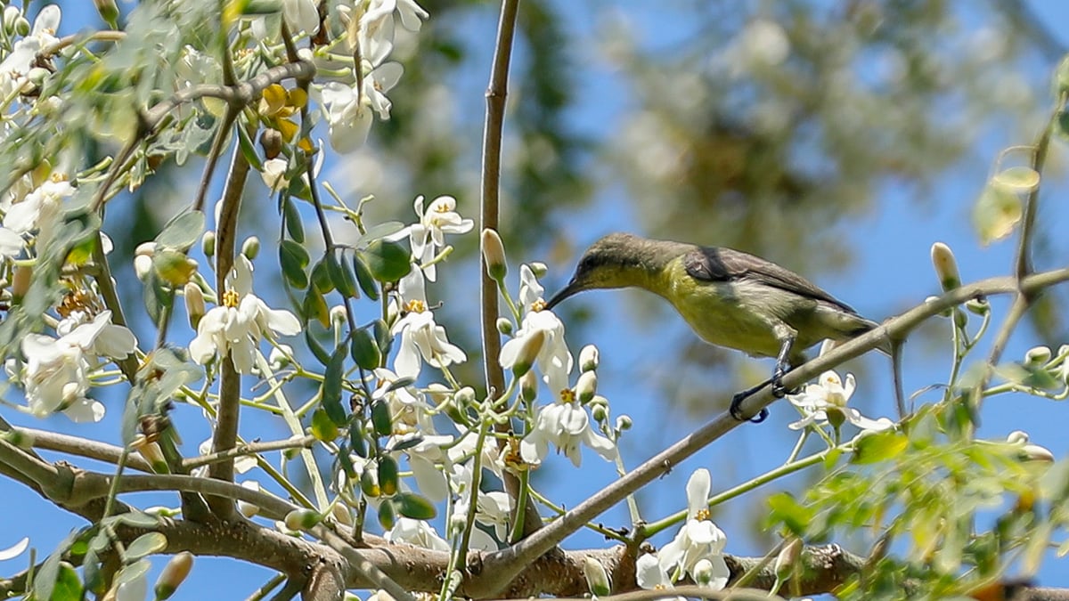 ছবি: সাদ্দাম হোসেন