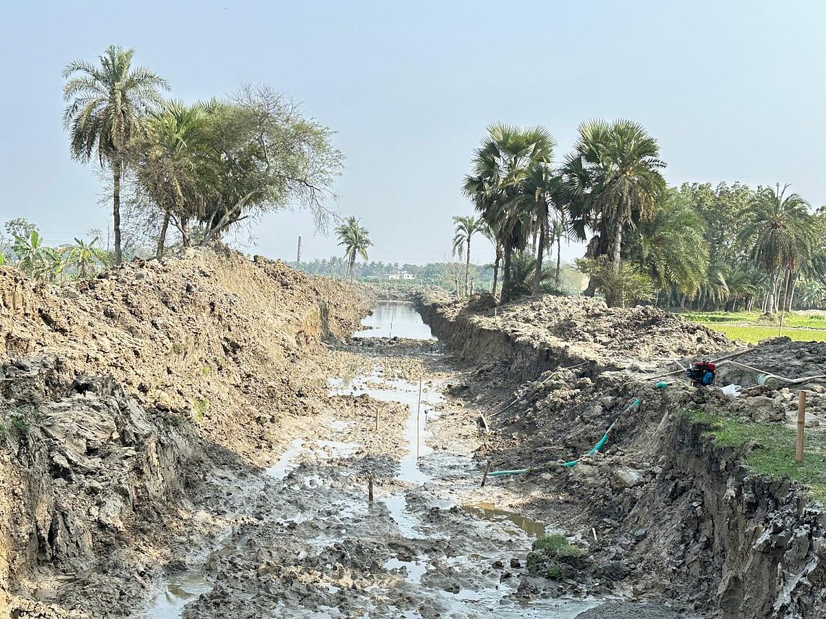 খাল খনন: খাদ্যনিরাপত্তা, পুষ্টি ও জলবায়ু-সহনশীলতার পথে বাংলাদেশের নতুন সম্ভাবনা