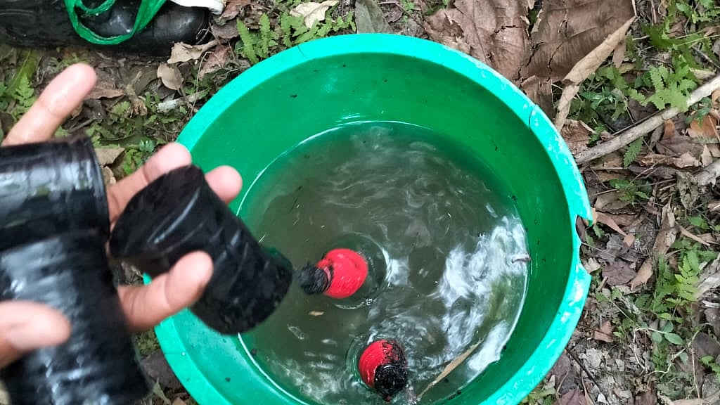 ছবি: প্রথম আলো