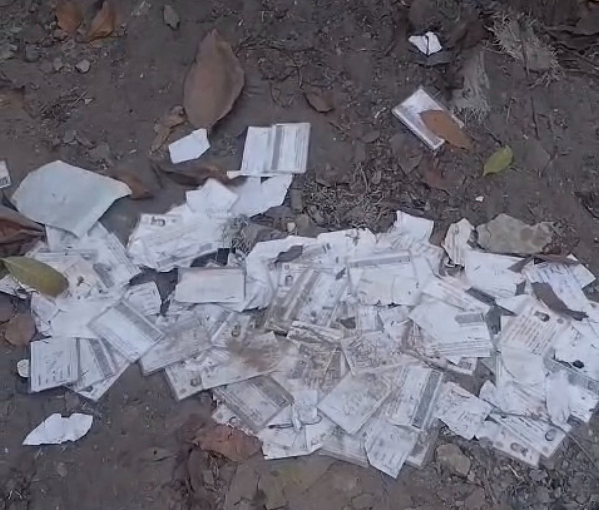 উদ্ধার হওয়া কিছু জাতীয় পরিচয়পত্র