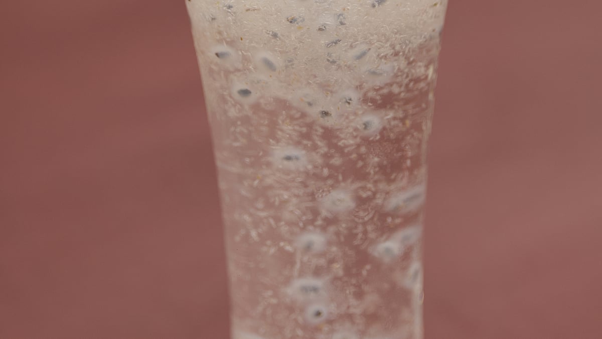 ছবি: কবির হোসেন