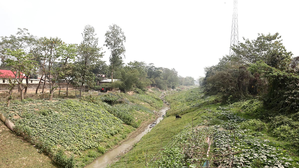নদীর দুই পাশে সবজি চাষ করেছেন স্থানীয় লোকজন।