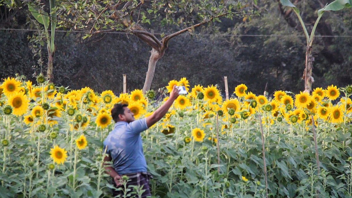 ছবি: তাফসিলুল আজিজ