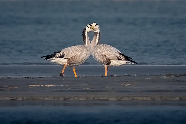 ছবি: কাফি আল আজাদ