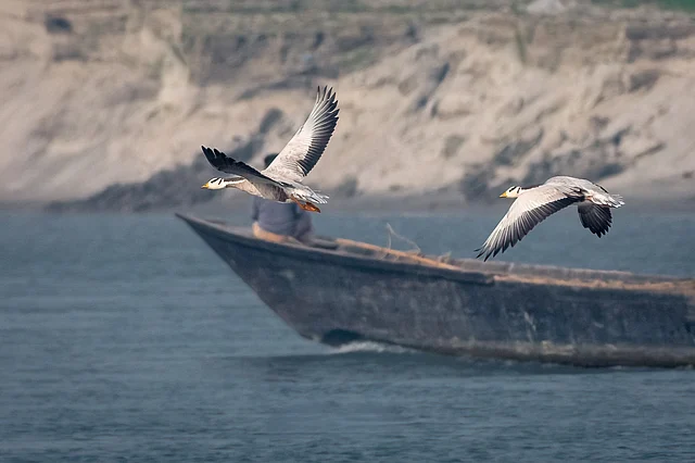 ছবি: কাফি আল আজাদ