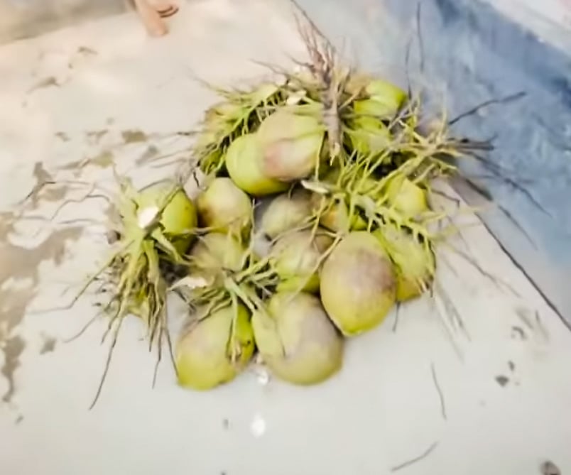 ছবি: অর্পিতা ফারজানা