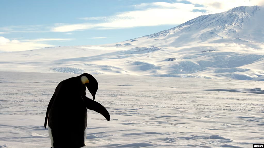 ফাইল ছবি: রয়টার্স