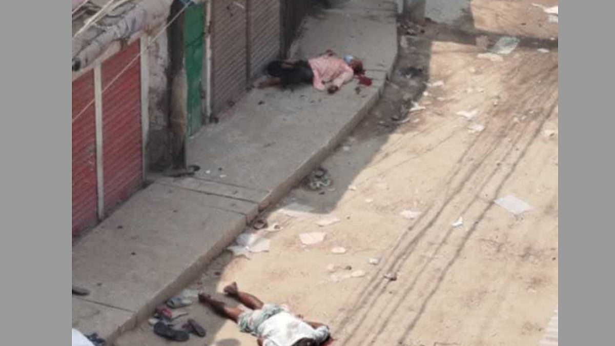 ছবি: প্রথম আলো