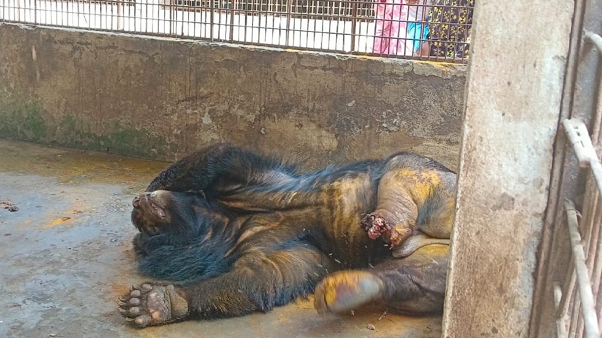 ছবি: প্রথম আলো