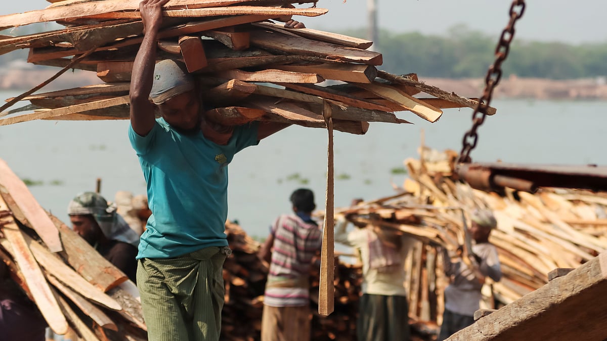 নৌকা থেকে নামানো হচ্ছে গাছের বাকল।