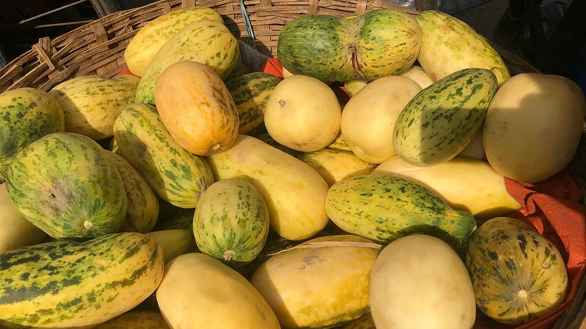 ছবি: প্রথম আলো 