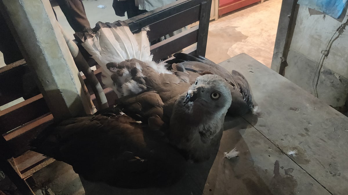 ছবি: প্রথম আলো