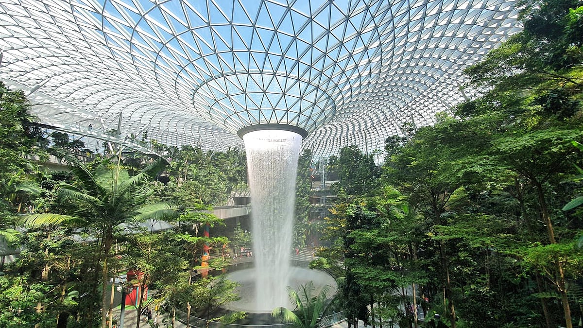 ছবি: পেক্সেলস