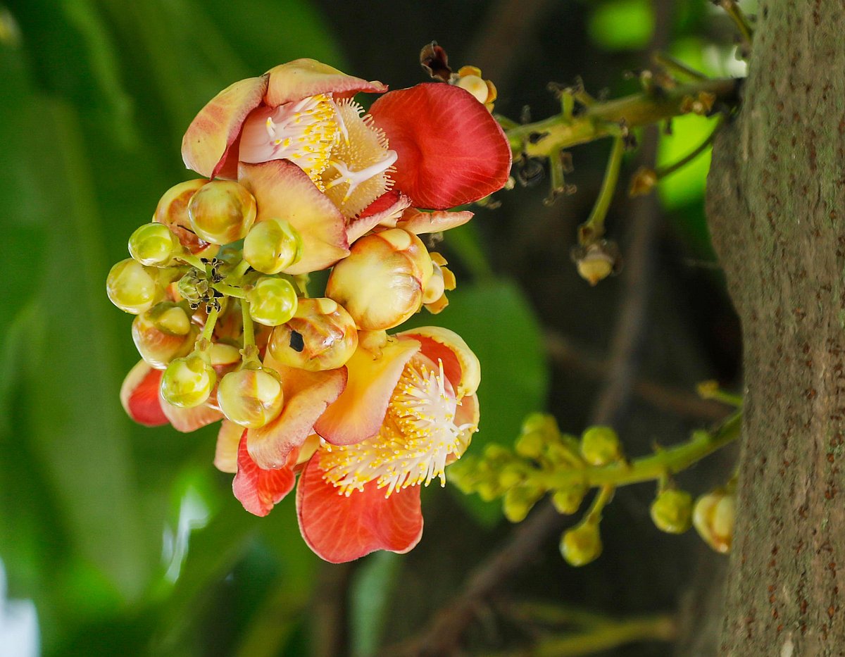 ছবি: সাদ্দাম হোসেন