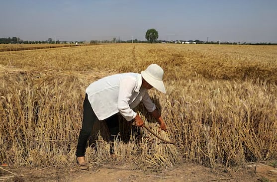 ছবি: রয়টার্স ফাইল ছবি