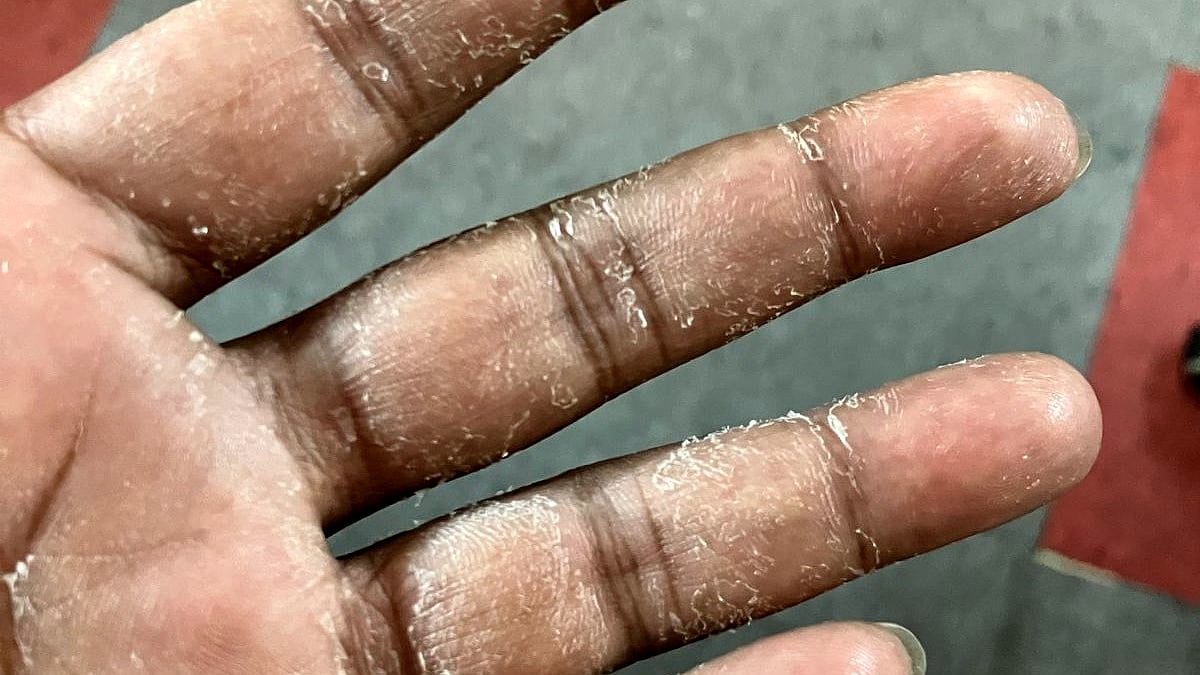 ছবি: প্রথম আলো