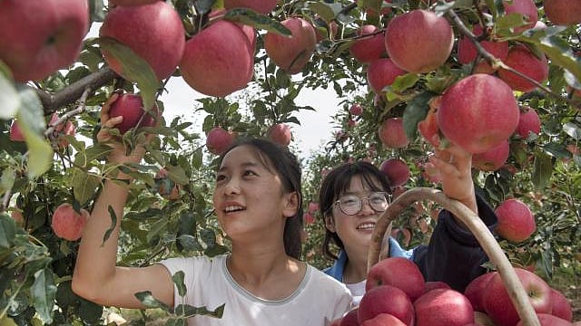 ফাইল ছবি: সিনহুয়া