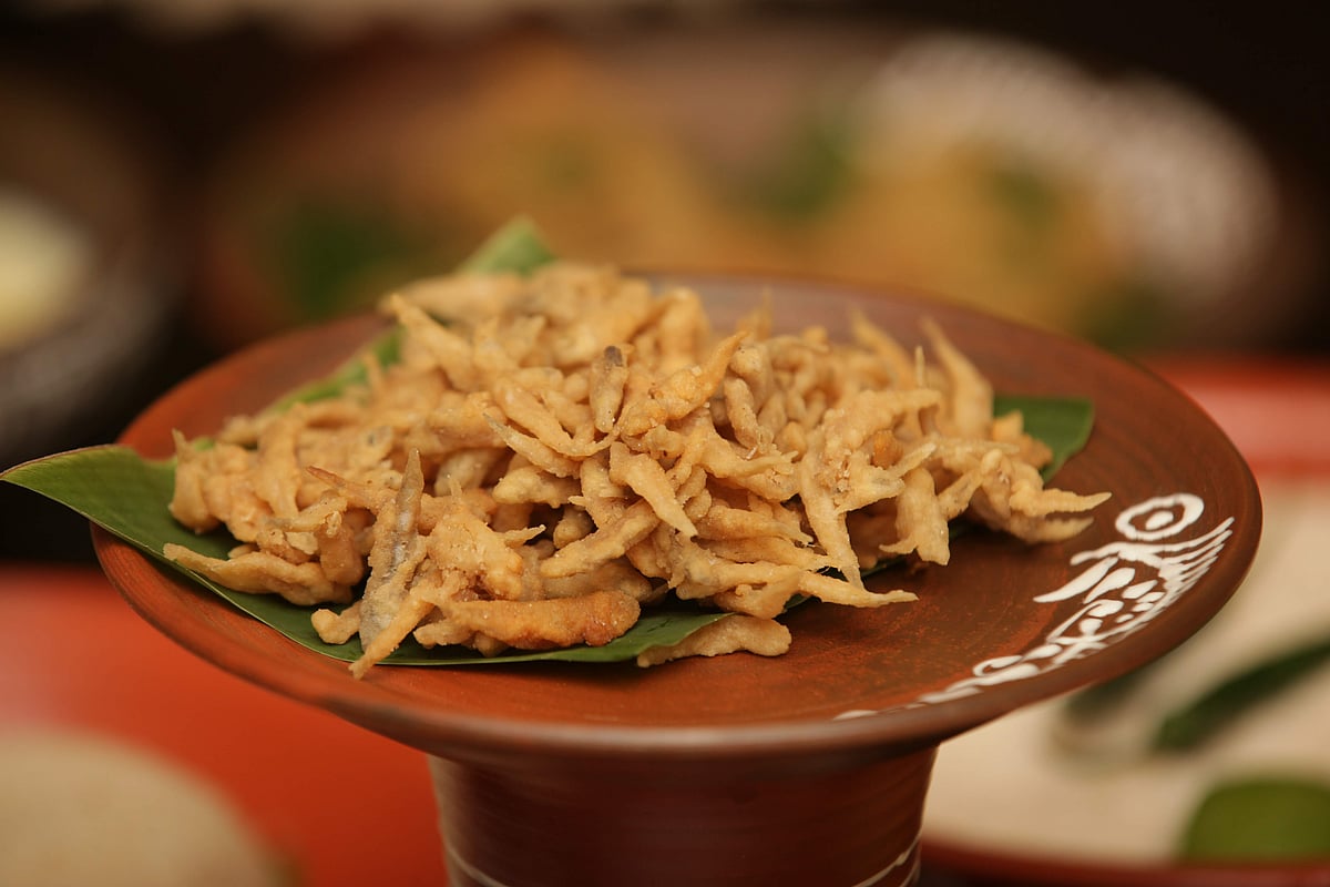 ছবি: প্রথম আলো