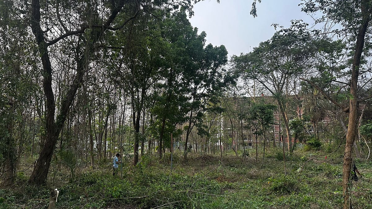 ছবি: প্রথম আলো