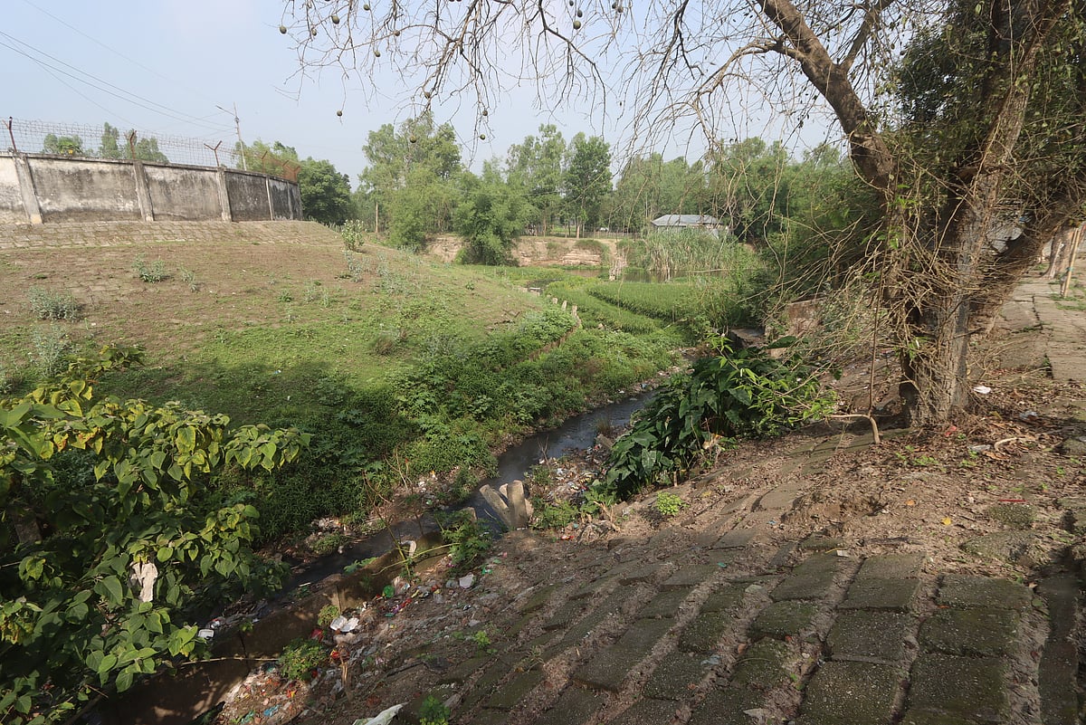 সরু নালার মতো পানির একটি ধারা গিয়ে খালে মিশেছে