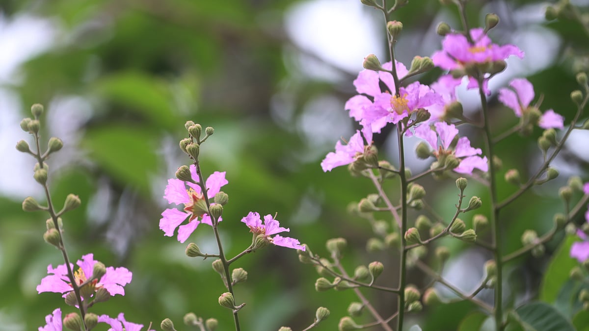 ছবি: মঈনুল ইসলাম