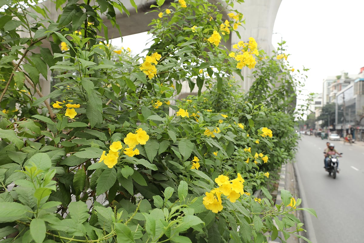 ছবি: জাহিদুল করিম 