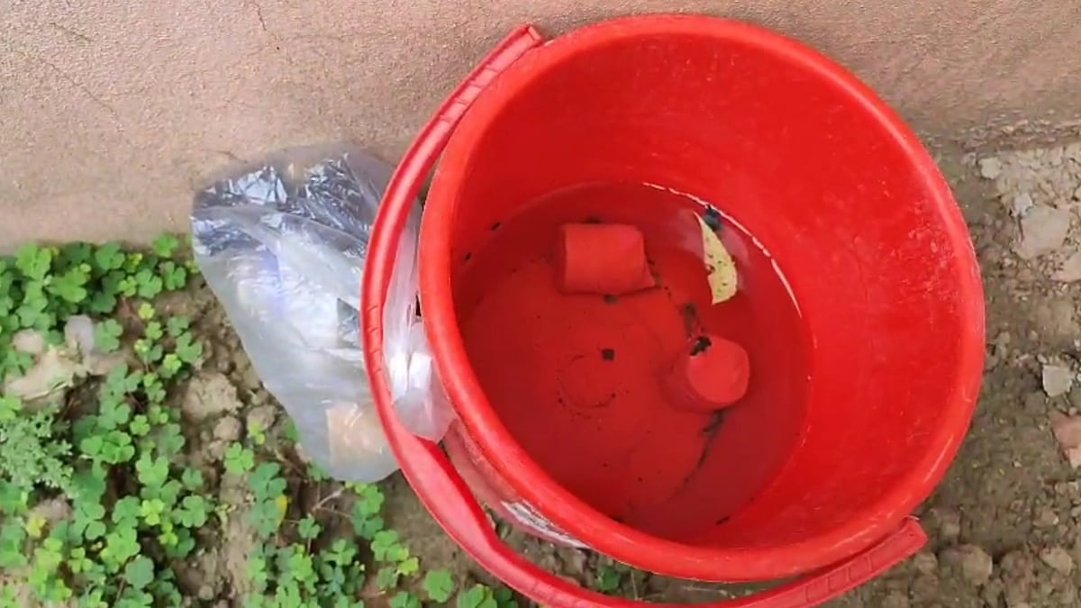 ছবি: প্রথম আলো