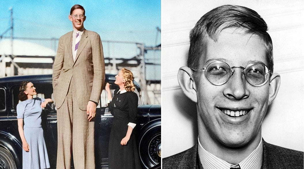 ছবি: গিনেস ওয়ার্ল্ড রেকর্ডসের সৌজন্যে