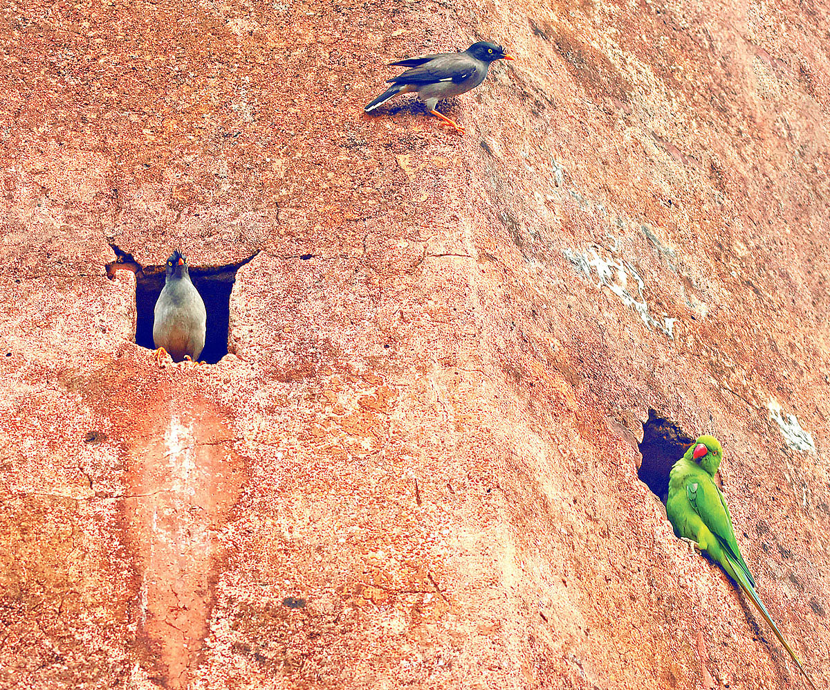 ছবি: লেখক