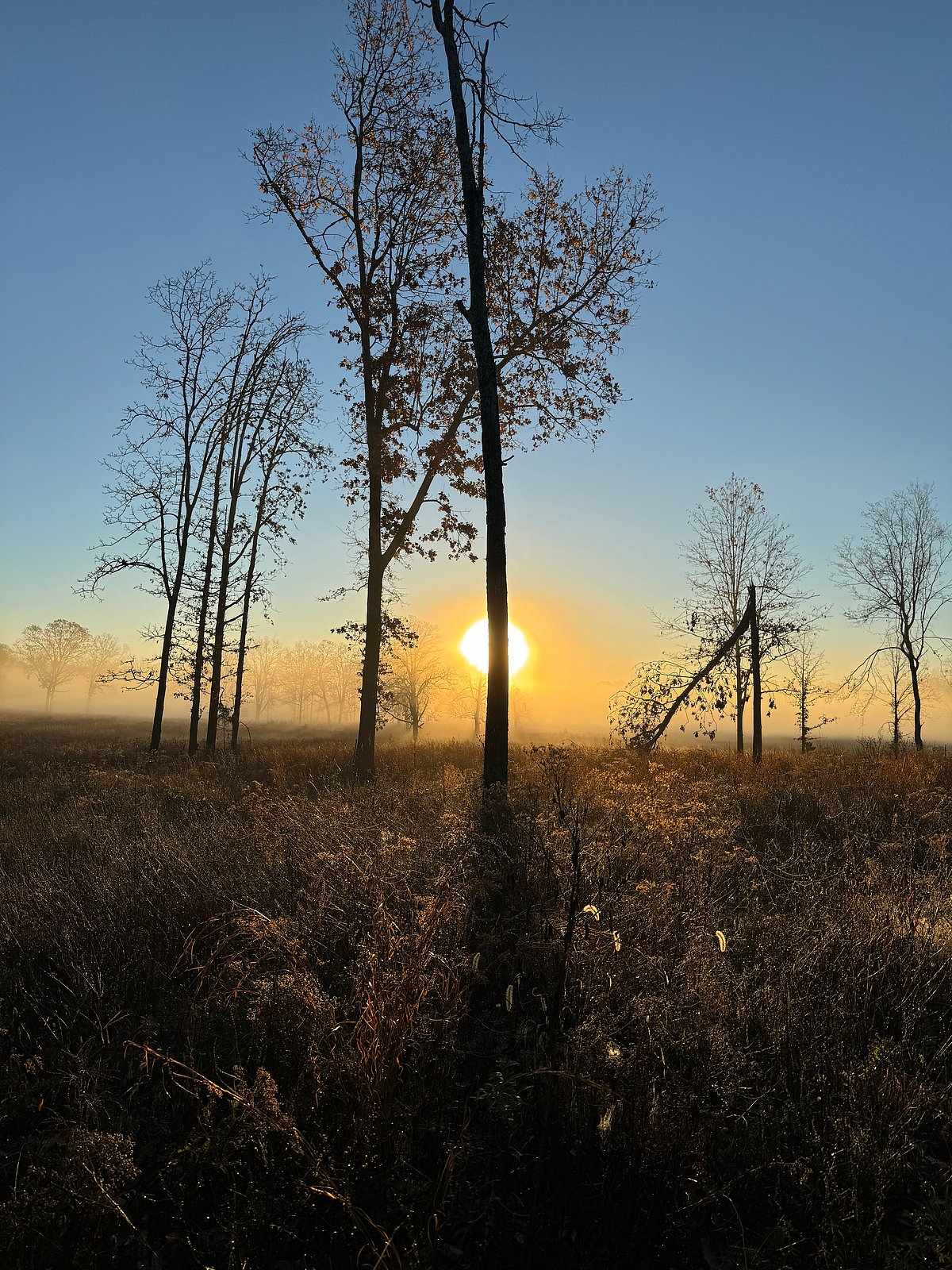 ছবি: লেখক
