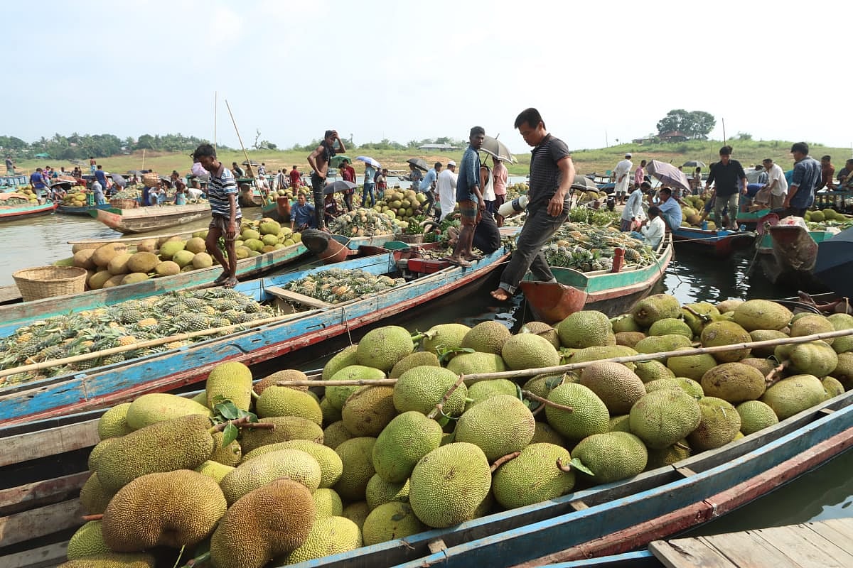 নৌকায় করে বাজারে আনা হয়েছে কাঁঠাল ও আনারস 