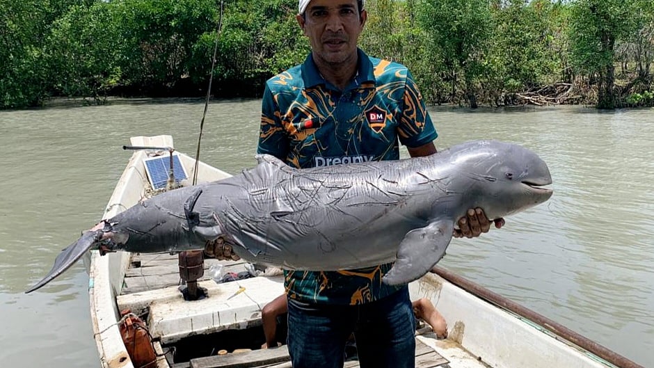 ছবি: সংগৃহীত