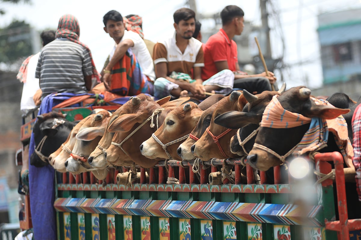 কোরবানির পশুর জন্য আধুনিক কসাইখানা কবে হবে বাংলাদেশে