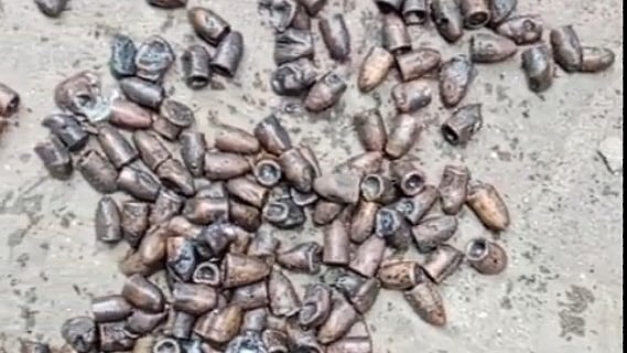 ছবি: ভিডিও থেকে নেওয়া