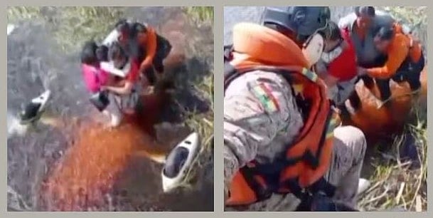 আমাজনে কুমিরে ভরা জলাভূমিতে ৩৬ ঘণ্টা কাটিয়েছিলেন তাঁরা