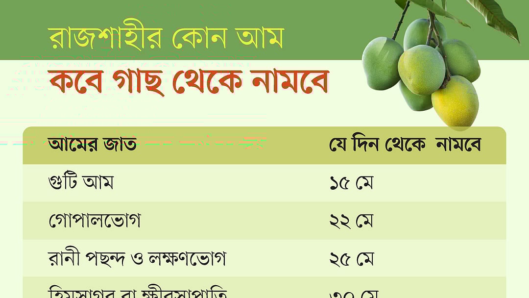 ইনফোগ্রাফিকস: প্রথম আলো