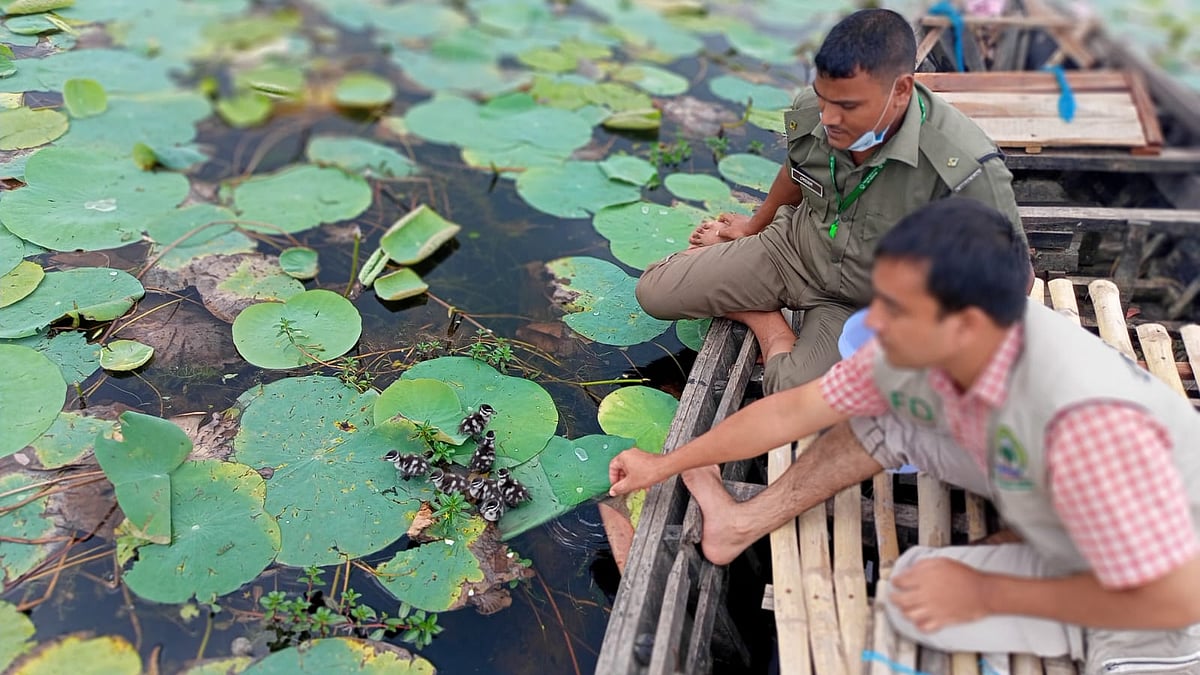 ছবি: প্রথম আলো