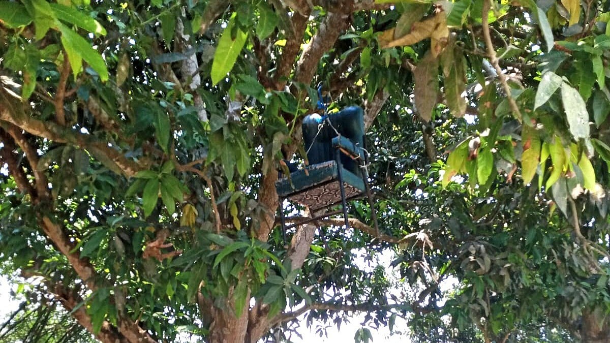 ছবি: প্রথম আলো