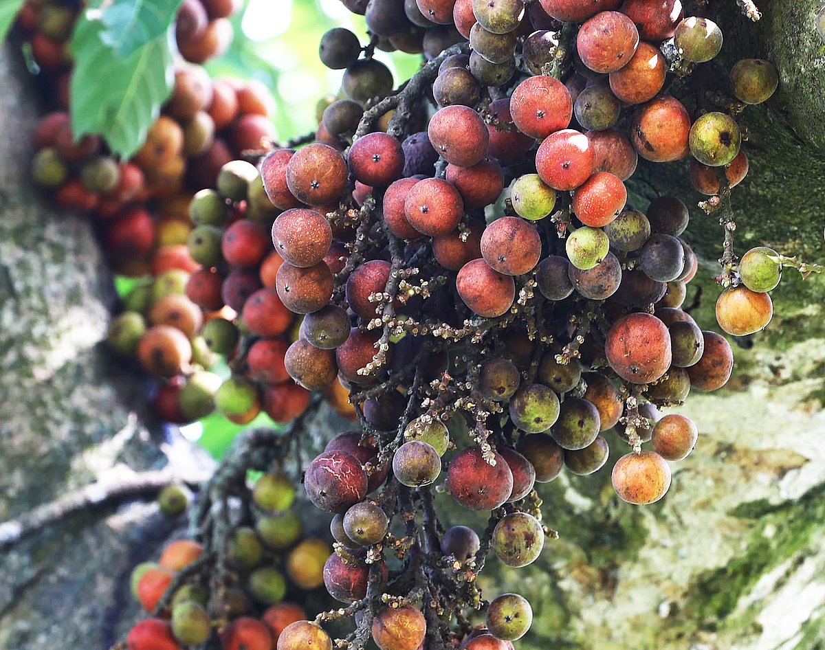 ছবি: প্রথম আলো