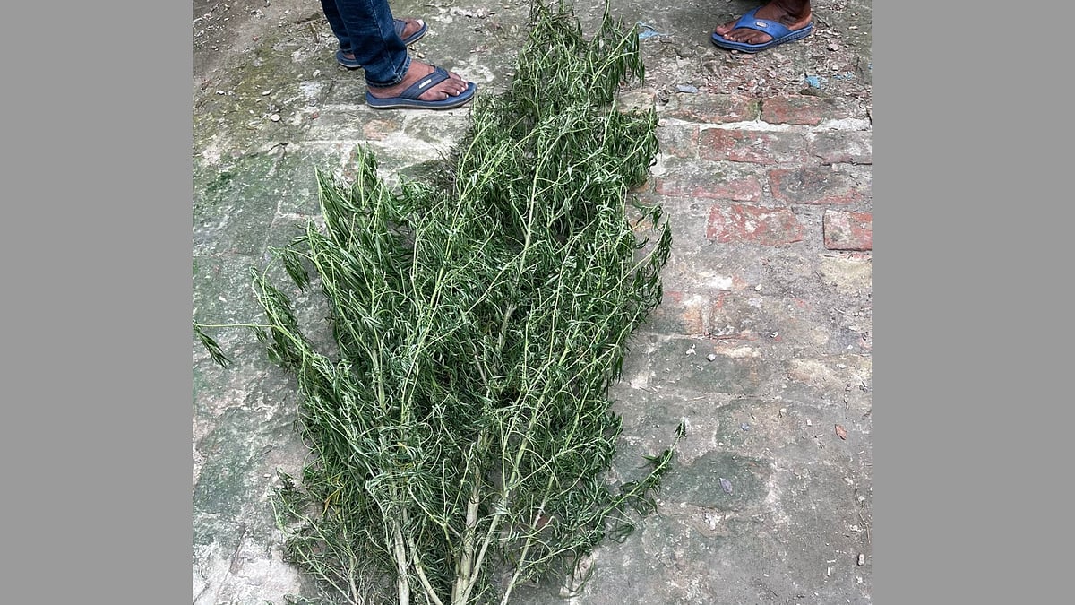 ছবি: প্রথম আলো