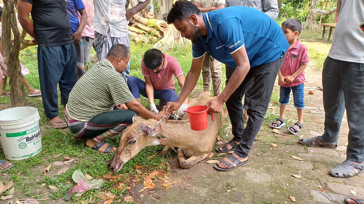ছবি: প্রথম আলো