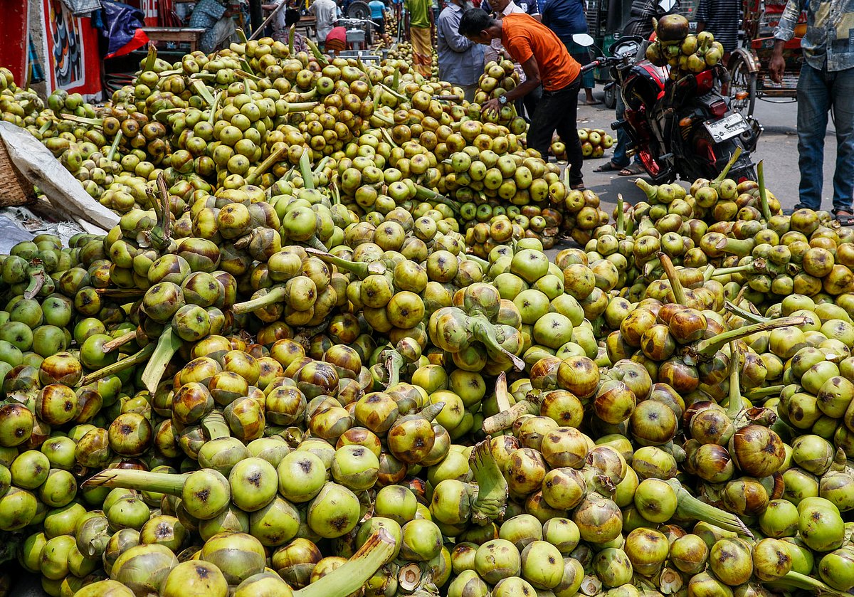কেনার জন্য স্তূপ থেকে তাল দেখছেন একজন 